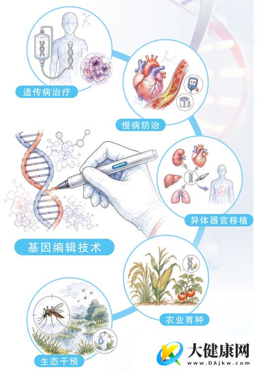 基因编辑，迈向精准医疗新阶段