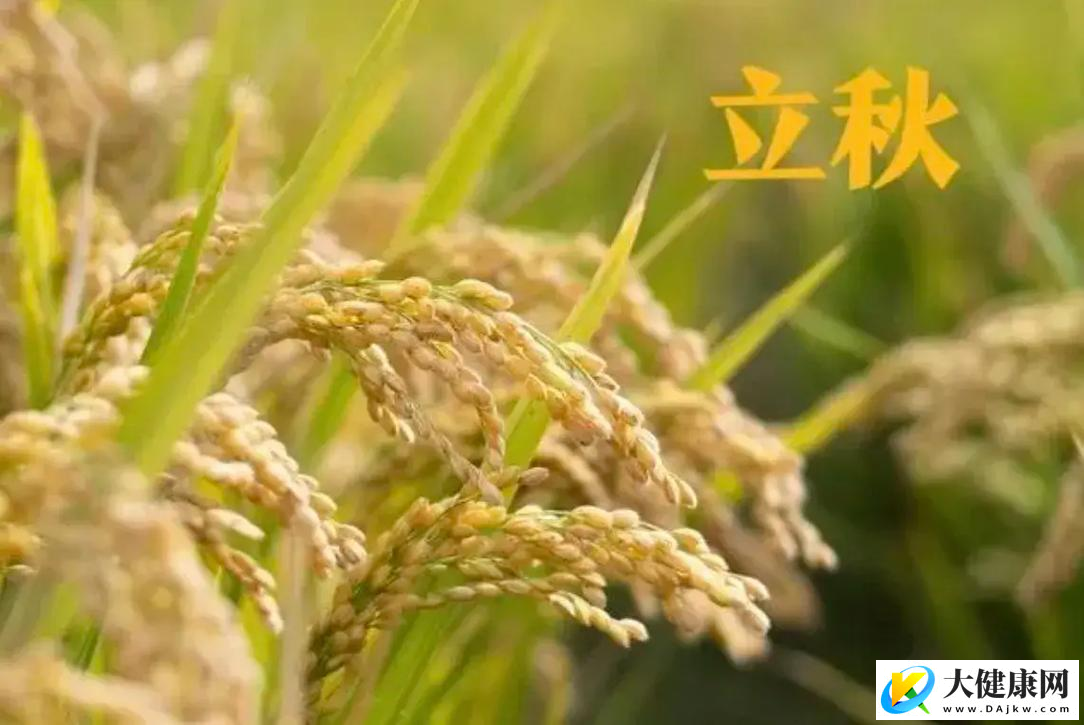立秋至 暑未消 科学养生平稳入秋