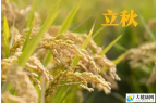 立秋至 暑未消 科学养生平稳入秋